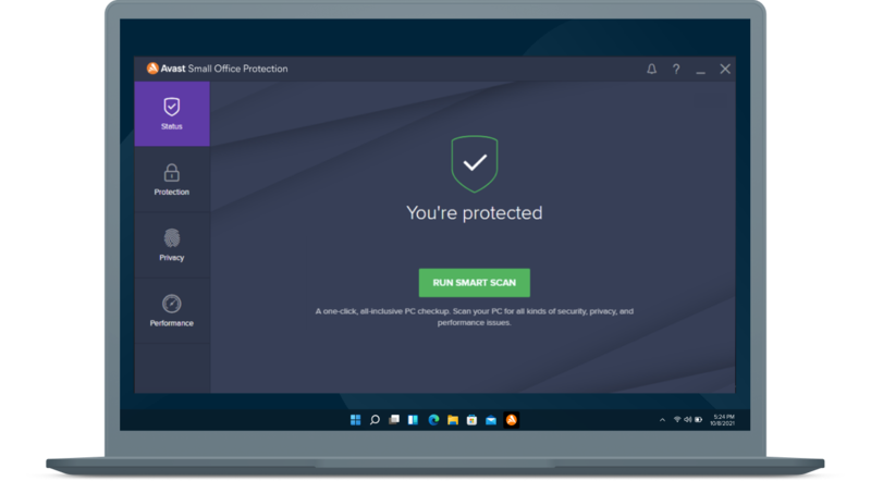 Avast Small Office Protection interface