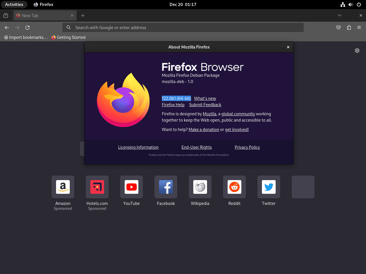 Mozilla Firefox Beta Interface